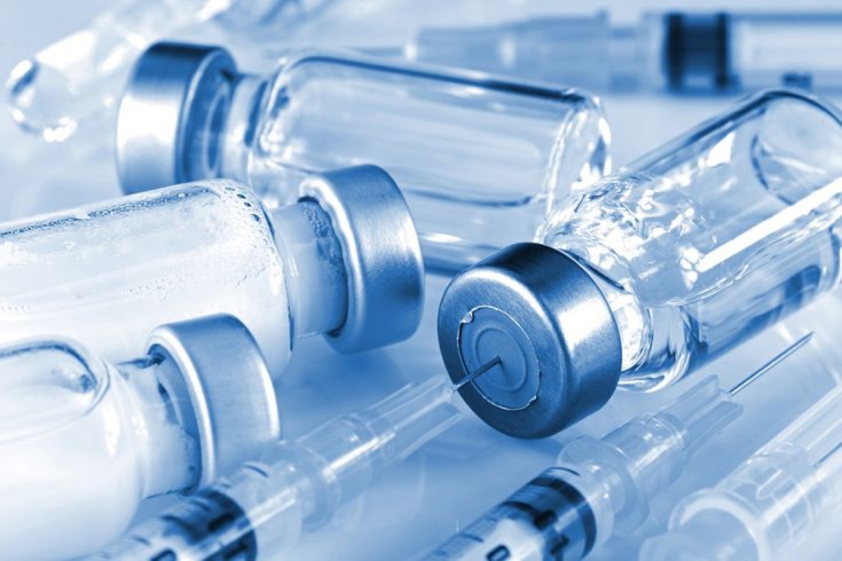 FMD Vaccination Drive for Cattle Begins in Vellore and Ranipet Districts
